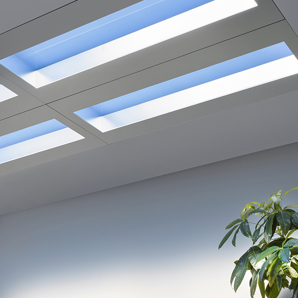 CoeLux® Products